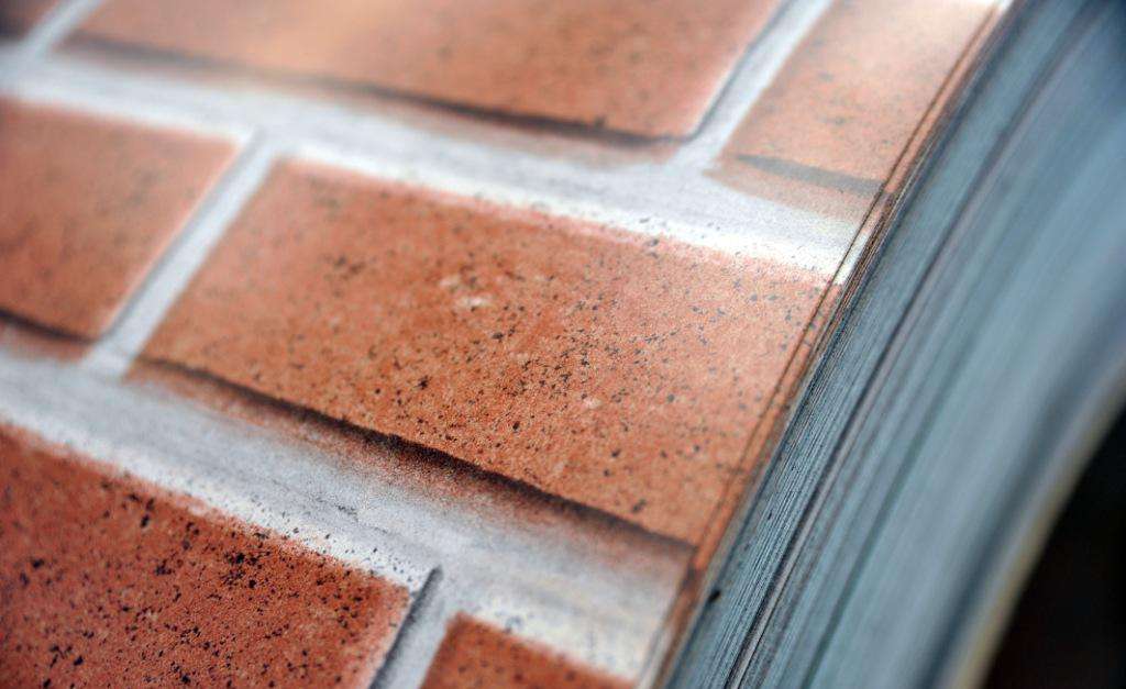 Brick Type PPGI Prepainted Galvanized Print Coating Steel Coils